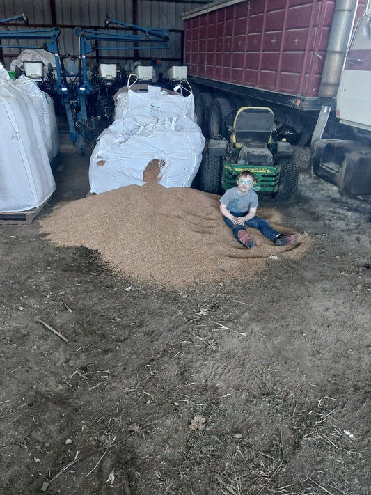 Story of the spilled wheat
