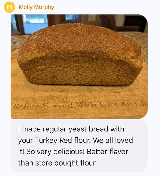 Turkey red hard wheat flour - 5 lb