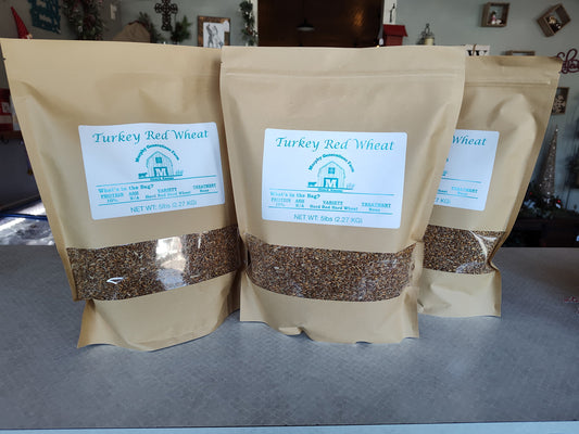 Turkey Red Wheat Berries - 20 lbs