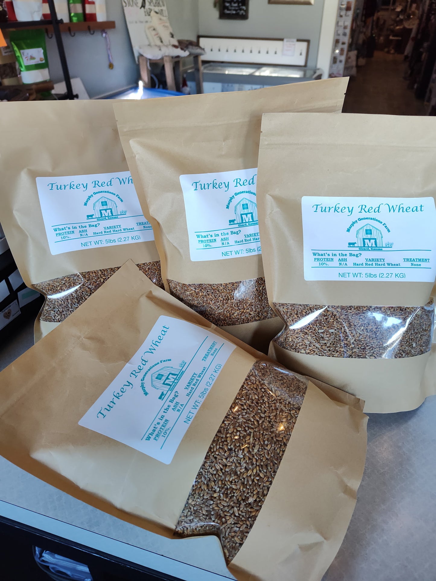 Turkey Red Wheat Berries - 20 lbs