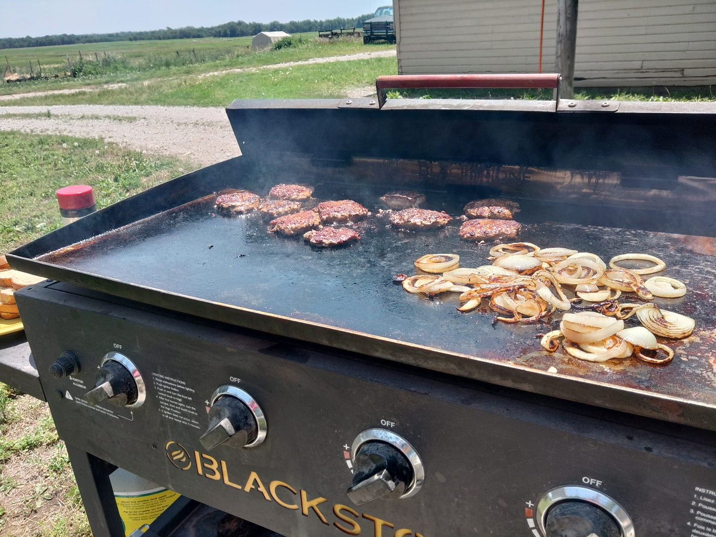 Hamburger Patties